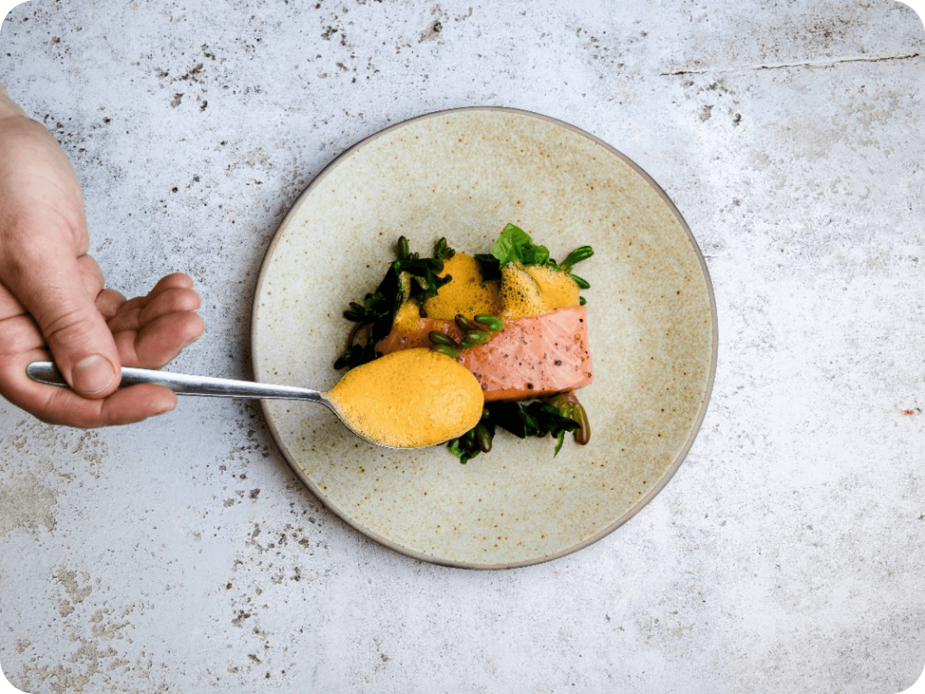Fine dining plate.